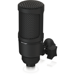 BEHRINGER BX2020 Studio Condenser Mic