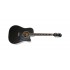 EPIPHONE DAVE NAVARRO "JANE" ACOUSTIC