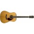 FENDER PARAMOUNT PM-1 STANDARD DREADNOUGHT