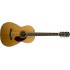 FENDER PARAMOUNT PM-2 STANDARD PARLOR