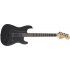 Fender Jim Root Stratocaster