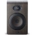 Focal Shape 65 ( Single )