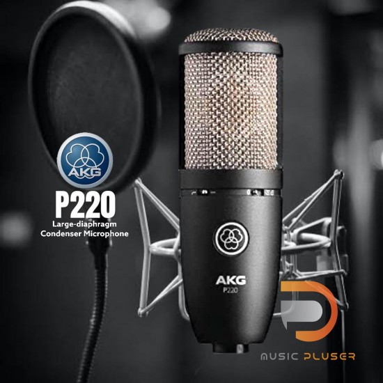 AKG P220 Large-diaphragm Condenser Microphone