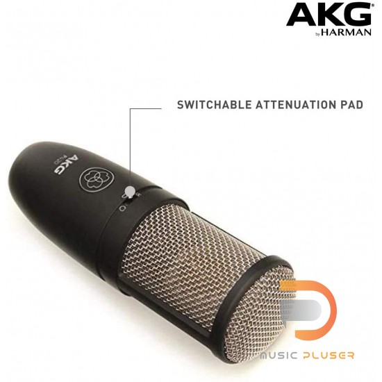 AKG Perception 420 Large Diaphragm Multi-Pattern Studio Microphone