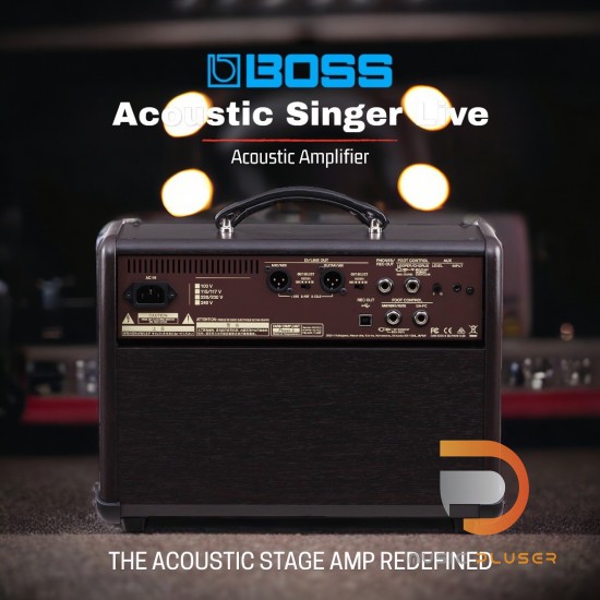 Boss Acoustic Singer Live