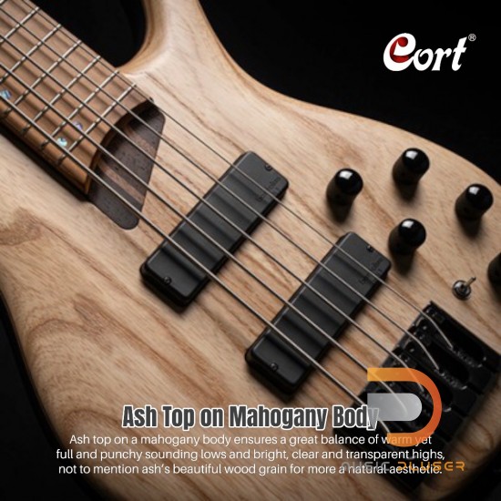 Cort B5 Element