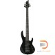 ESP LTD B-55