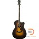 FENDER PARAMOUNT PM-3 DELUXE TRIPLE O