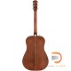 FENDER PM-1 STANDARD DREADNOUGHT ALL-MAHOGANY