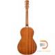 FENDER PM-2 PARLOR NE, ALL-MAHOGANY