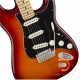 Fender Player Stratocaster Plus Top