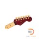 Fender Tash Sultana Strstocaster