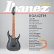 Ibanez RGA42FM Electric Guitar