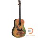 MARTIN DXMAE 30th ANNIVERSARY GUITAR