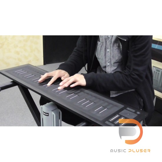 ROLI Seaboard Rise 49