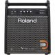 Roland PM-100 Personal Monitor