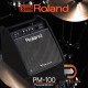 Roland PM-100 Personal Monitor