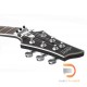 Schecter Damien Platinum 6 FR